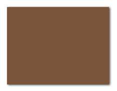 RAL 8024 бежево-коричневый